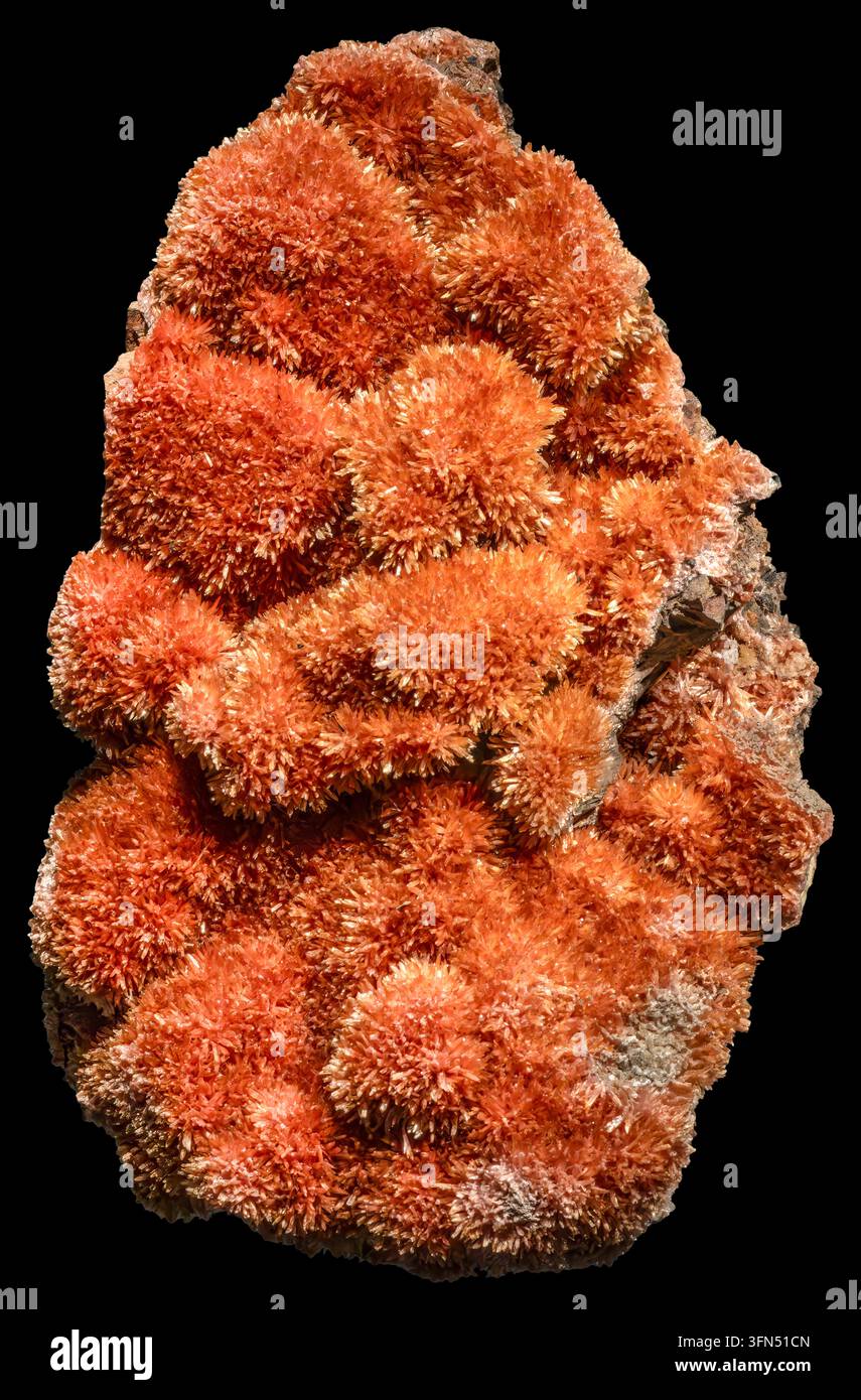 L'inesite è un raro minerale silicato di manganese con la formula Ca₂Mn₇Si₁₀O₂₄(OH)₈·6H₂O. Foto Stock
