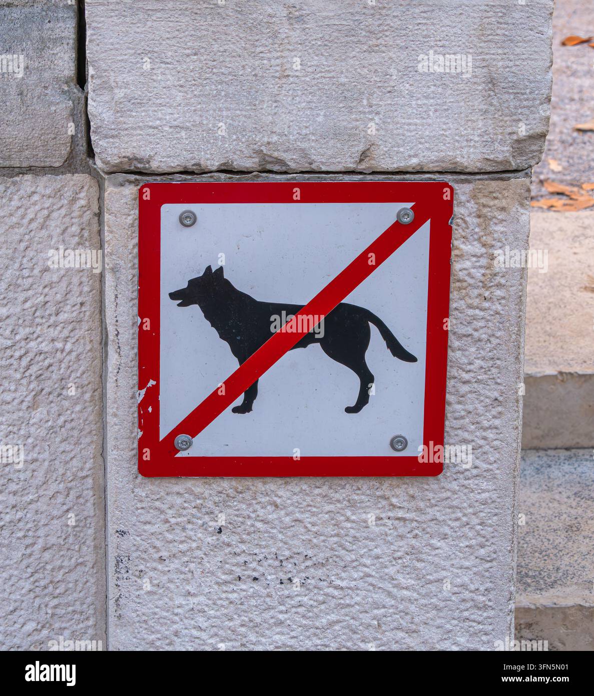 Segnale rosso e bianco "Divieto di cani" con una sagoma di cane nera e una linea diagonale di divieto montata su un muro di pietra ruvido all'aperto. Foto Stock