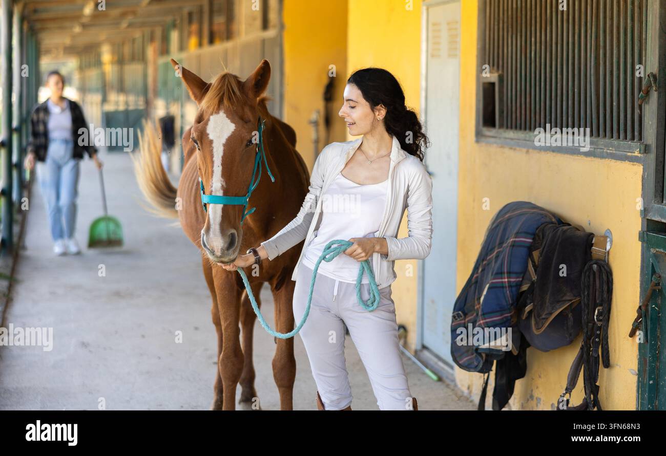 Proprietaria armena positiva di un cavallo porta l'animale fuori dalla stalla, tiene la briglia e lo costringe a seguirla. Esce a passeggio e si allena con il cavallo Foto Stock