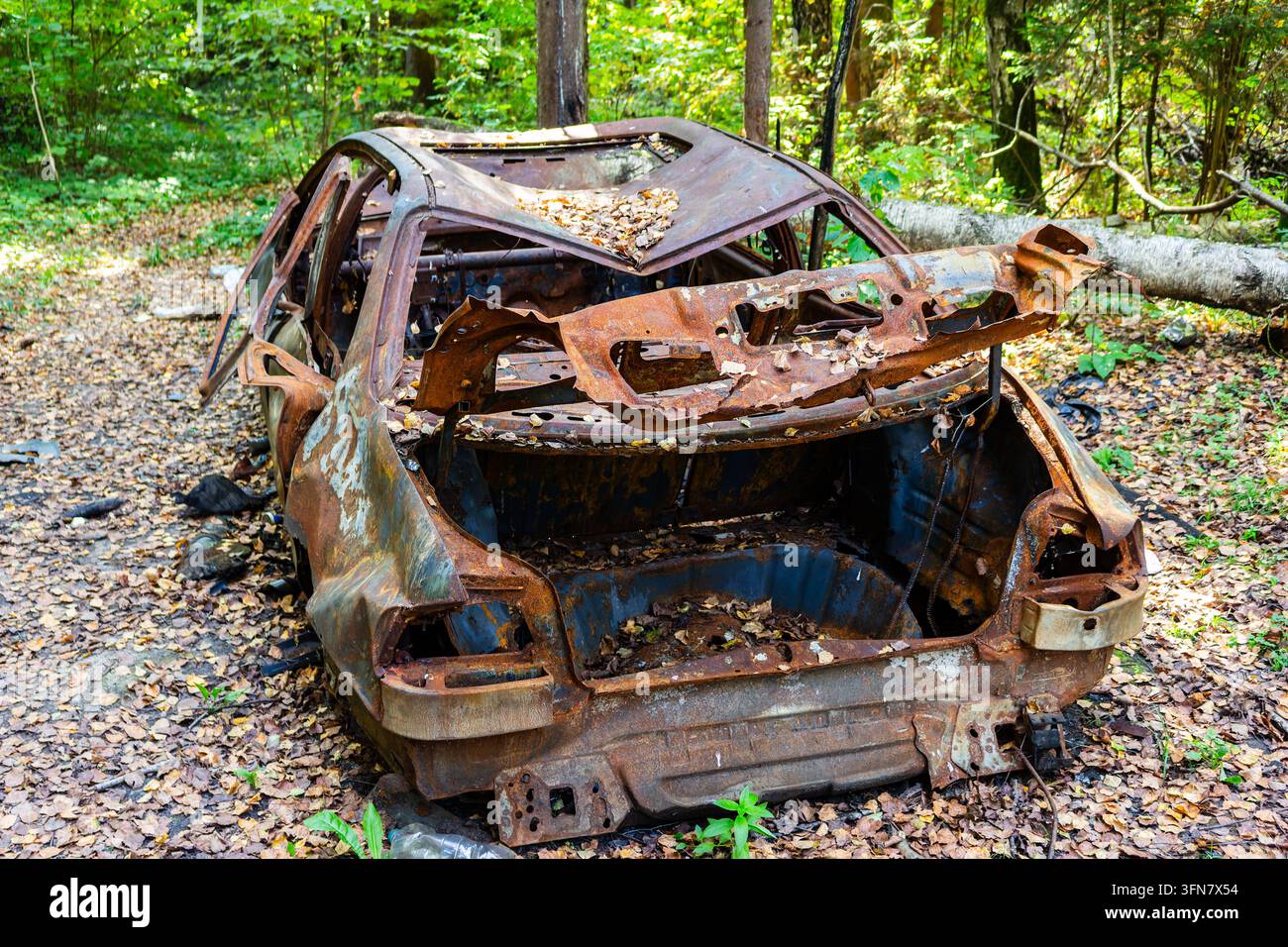 Rovine di un'auto arrugginita e bruciata abbandonata in una foresta fitta, che mostra un telaio metallico carbonizzato e un telaio in decomposizione lasciato alla natura nell'ambiente selvaggio Foto Stock