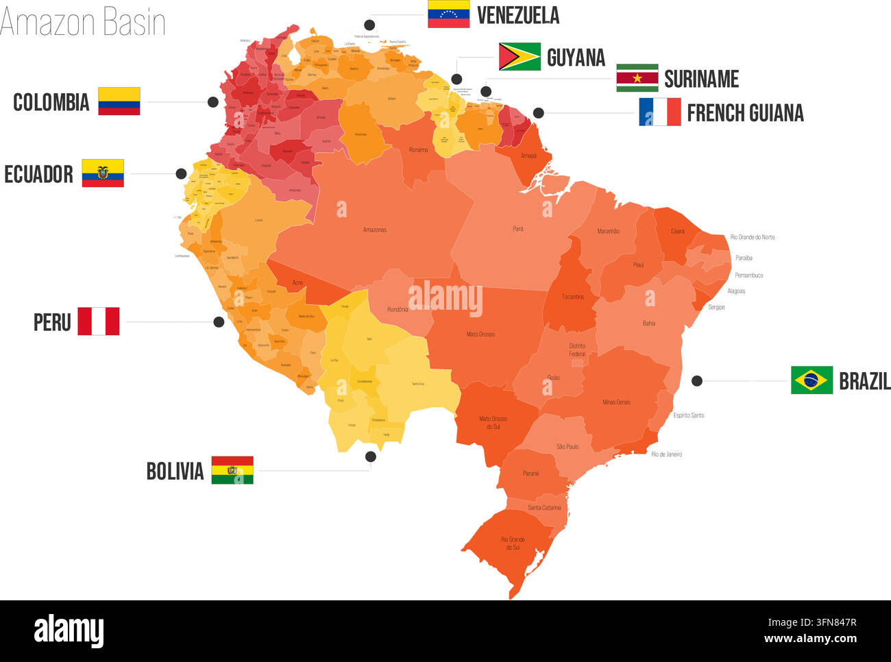 Mappa politica regionale del bacino amazzonico. Colombia, Ecuador, Perù, Bolivia, Venezuela, Guyana, Suriname, Guyana francese, Brasile Mappa vettoriale isolata su sfondo bianco con bandiere ed etichette con i nomi dei paesi. Illustrazione Vettoriale