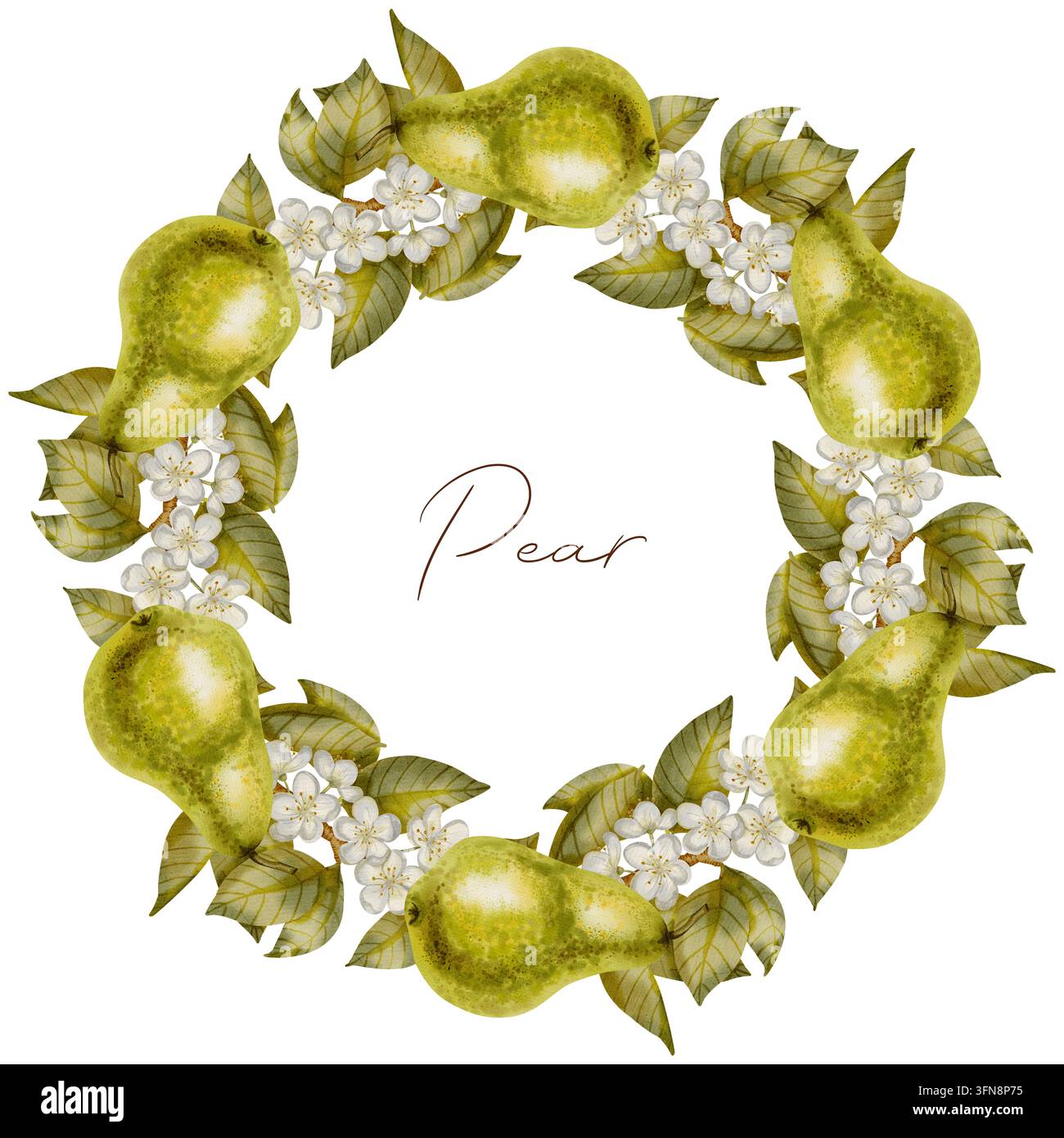 Corona botanica acquerello con pere mature, fiori bianchi e foglie verdi. Perfetta come cornice o logo per articoli di cancelleria e tessuti per matrimoni Foto Stock