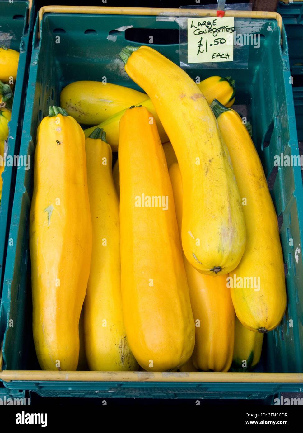 Il giallo di zucchine Foto Stock