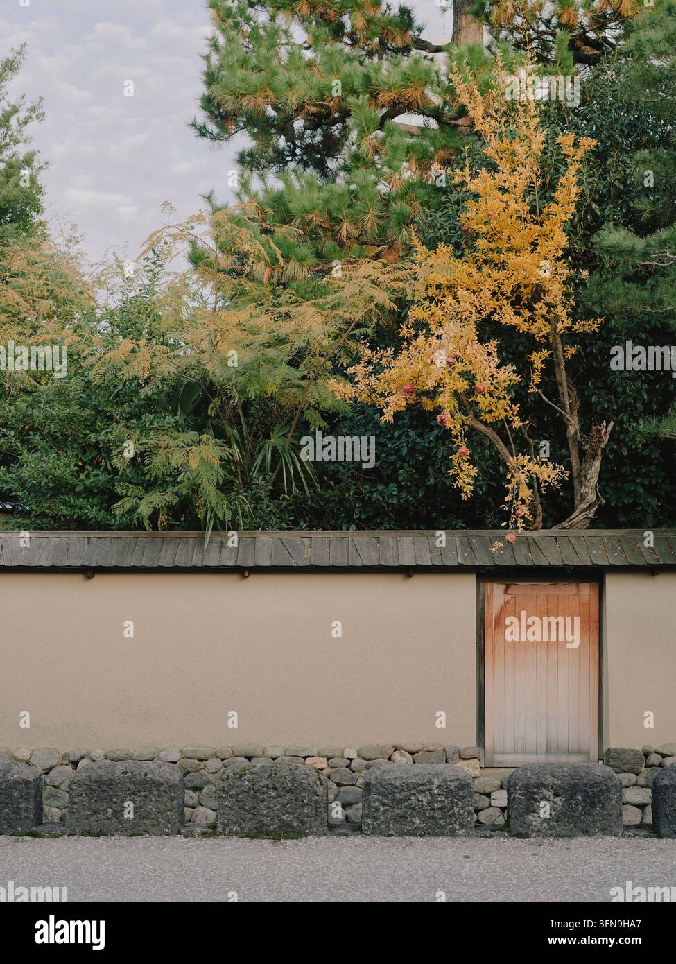 Muro in gesso tradizionale giapponese con fogliame autunnale sopra Foto Stock
