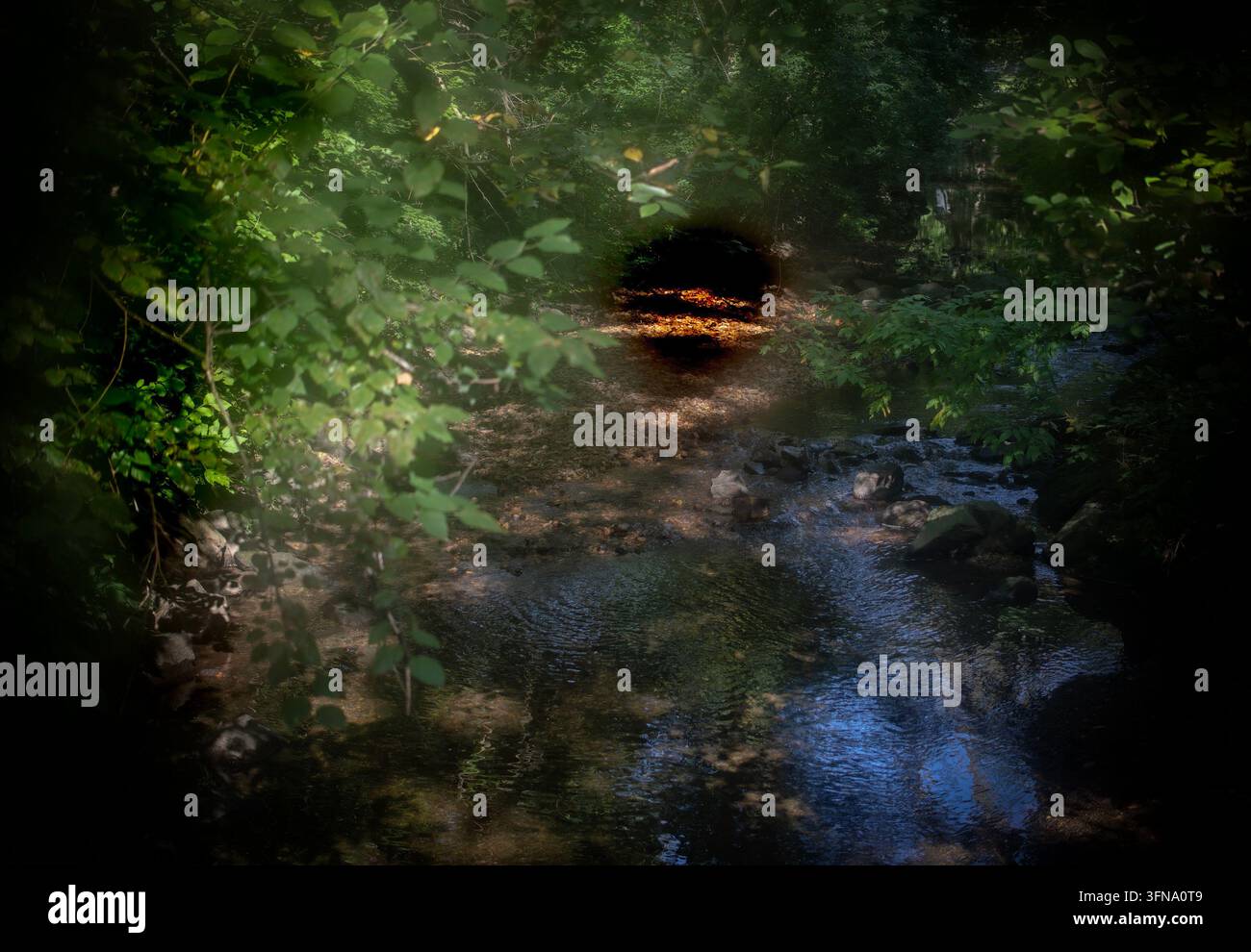 Un ruscello ombroso della foresta che scorre verso un oscuro collettore di drenaggio o tunnel circondato da fogliame verde. Foto Stock