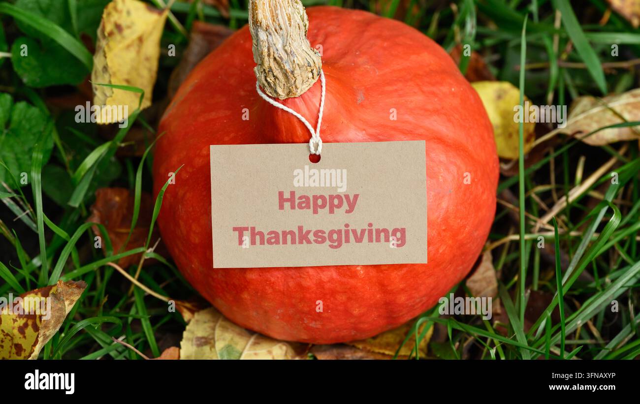 Messaggio di auguri felice per il Ringraziamento su un'etichetta di carta marrone attaccata a una zucca arancione brillante seduta nell'erba verde con foglie autunnali. Foto Stock