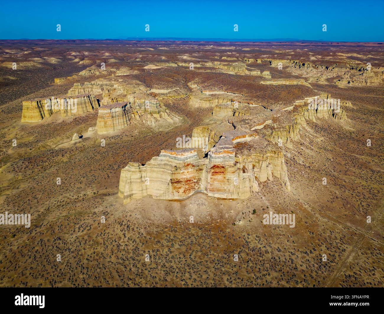 Una vasta veduta aerea panoramica cattura le formazioni rocciose dei Pillars of Rome vicino a Rome, Oregon Foto Stock