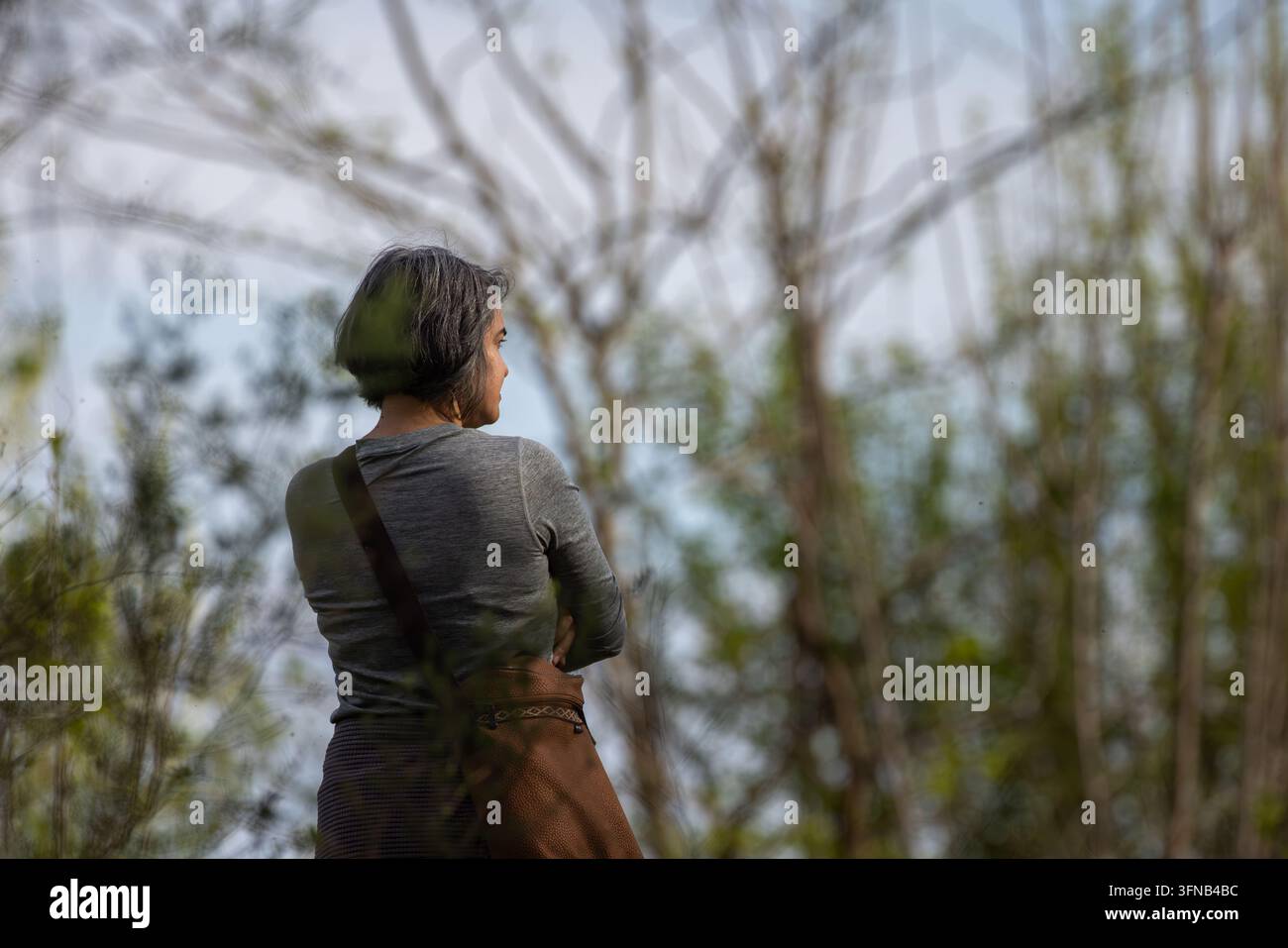 Donna in piedi da sola, che guarda attraverso alberi spogli. Con la schiena voltata, affronta un bosco lontano e silenzioso. La quiete della natura la circonda, morbida e vasta. Foto Stock