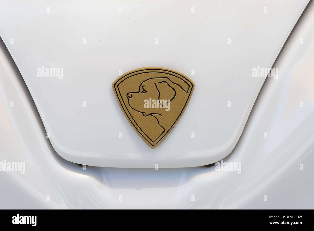 Emblema del marchio Golden Mastiff con un profilo di testa di cane sulla parte anteriore bianca di un carrello da golf elettrico Foto Stock