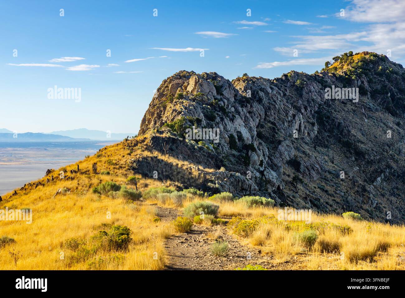 Il sentiero sterrato di Frary Peak si snoda attraverso pendici di arbusti di salvia verso vette illuminate dal sole che si affacciano sul bacino del Grande Lago Salato sull'isola Antelope nello Utah Foto Stock