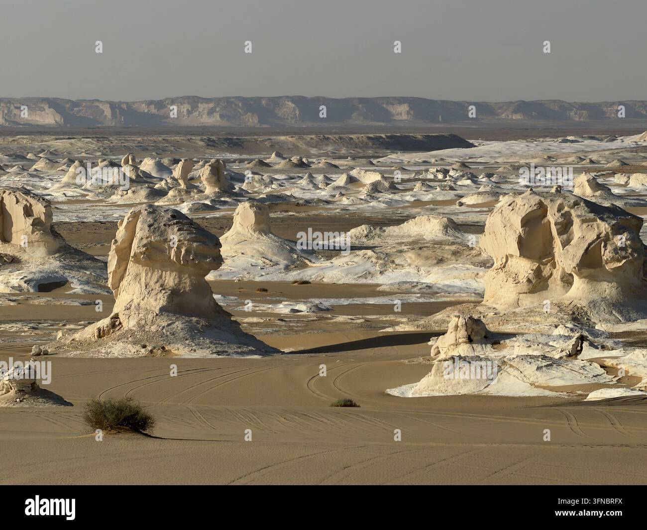 Campo panoramico di rocce scolpite nel Deserto Bianco, fotografato nel Parco Nazionale del Deserto Bianco nel deserto occidentale dell'Egitto Foto Stock