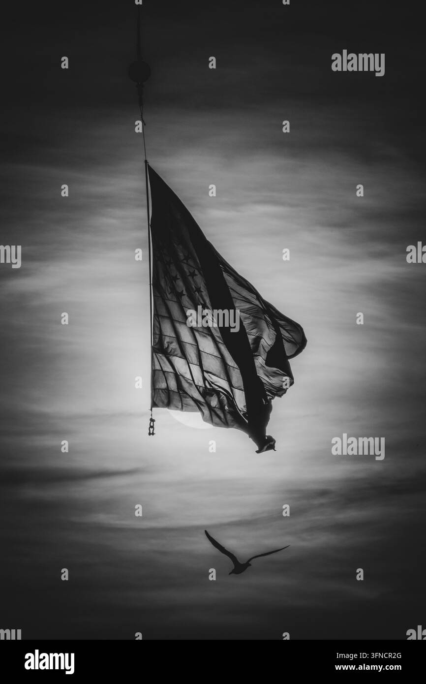 Una bandiera americana in silhouette ondeggia drammaticamente contro un cielo luminoso e nuvoloso mentre un uccello vola sotto al crepuscolo. Foto Stock