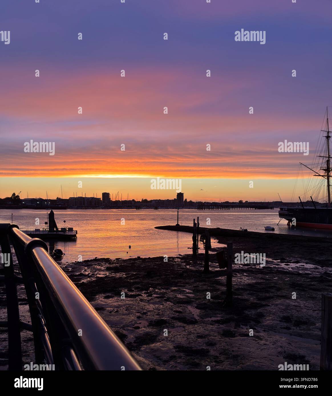 Robin decolla velocemente - Immagine stock catturata con smartphone