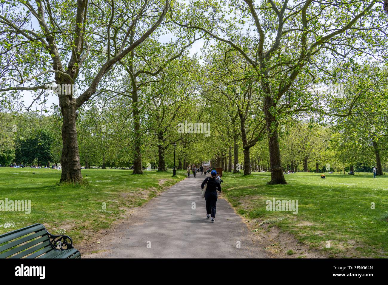 29 maggio 2023: Un sentiero nel Green Park che conduce al Buckingham Palace a Londra, Inghilterra Foto Stock