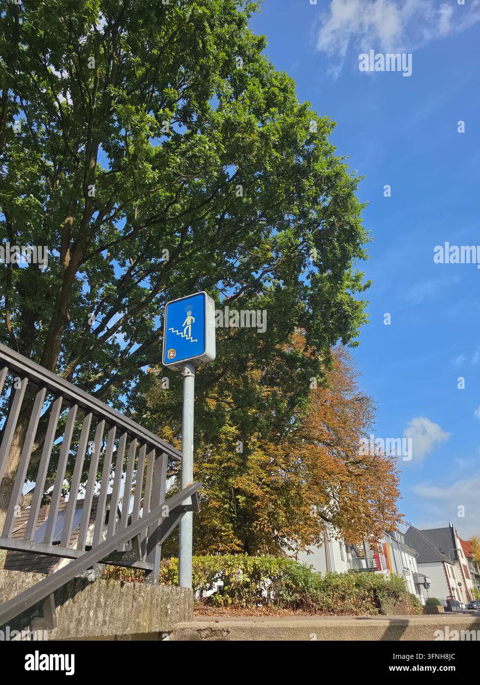 Segnale stradale blu per sottopassaggio pedonale montato su un palo metallico accanto a una ringhiera di scale con alberi verdi rigogliosi e un cielo blu chiaro sullo sfondo - Immagine stock catturata con smartphone