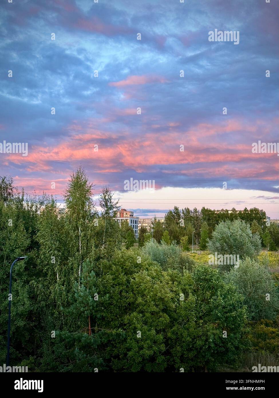 un cielo al tramonto vibrante di rosa e blu sopra alberi verdi e una prateria suburbana in un parco urbano al crepuscolo. - Immagine stock catturata con smartphone