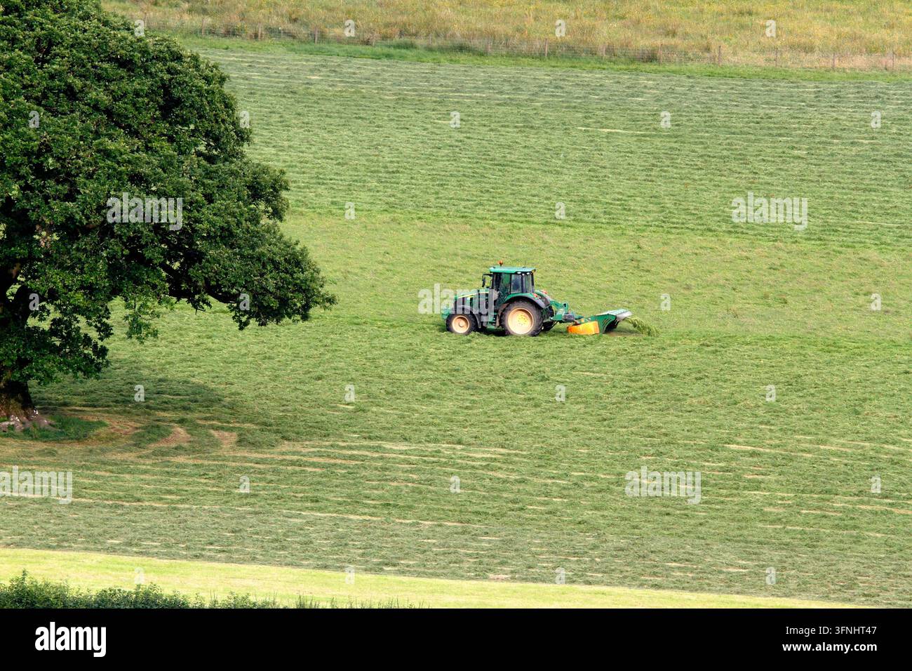 Contadini che tagliano il pascolo o l'erba per produrre insilato o lettiera. Foto Stock