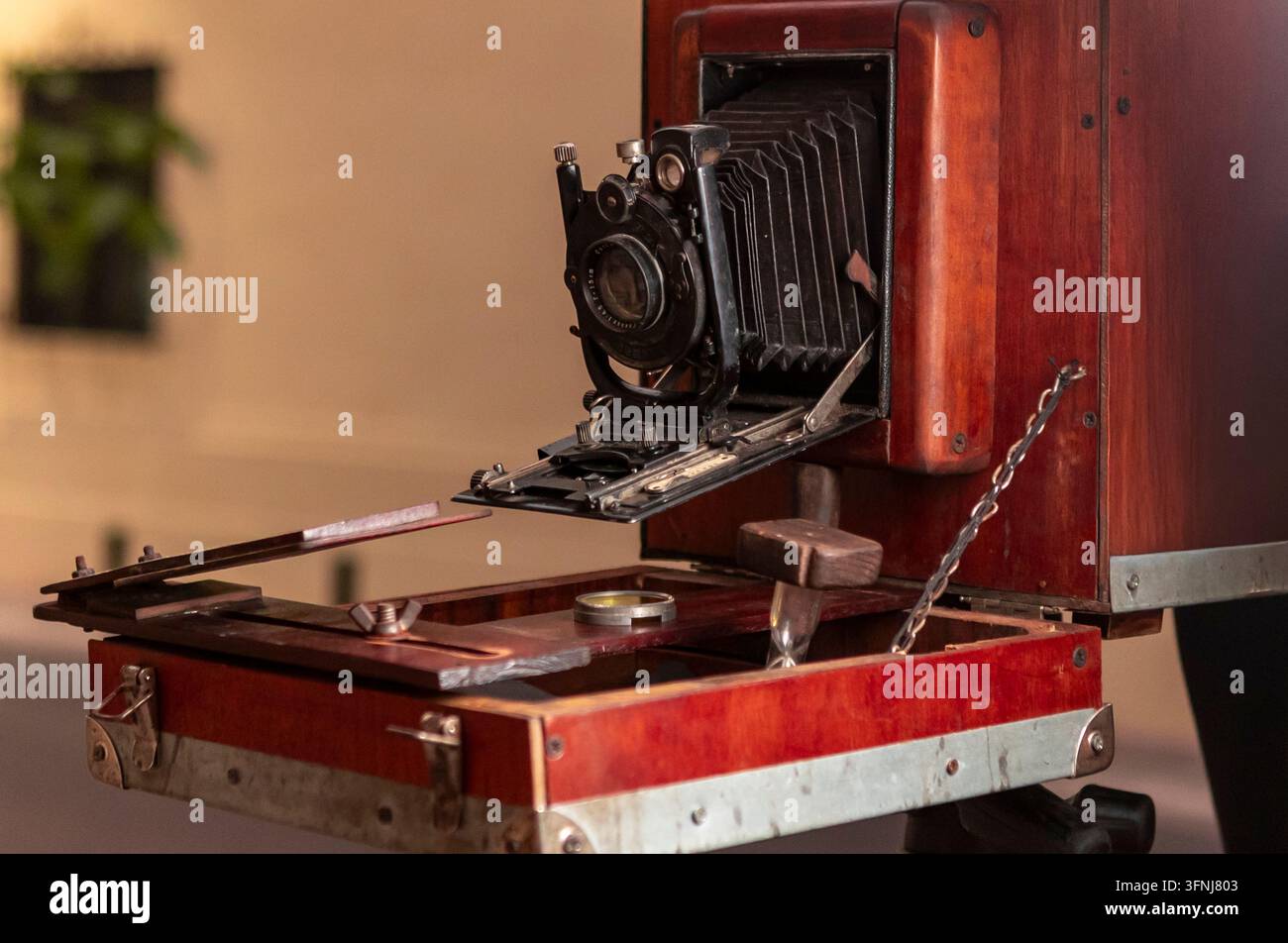 Prima di una macchina fotografica vintage a soffietto in legno con obiettivo esteso e letto pieghevole, che mostra attrezzature fotografiche analogiche classiche, artigianalità ed ea Foto Stock