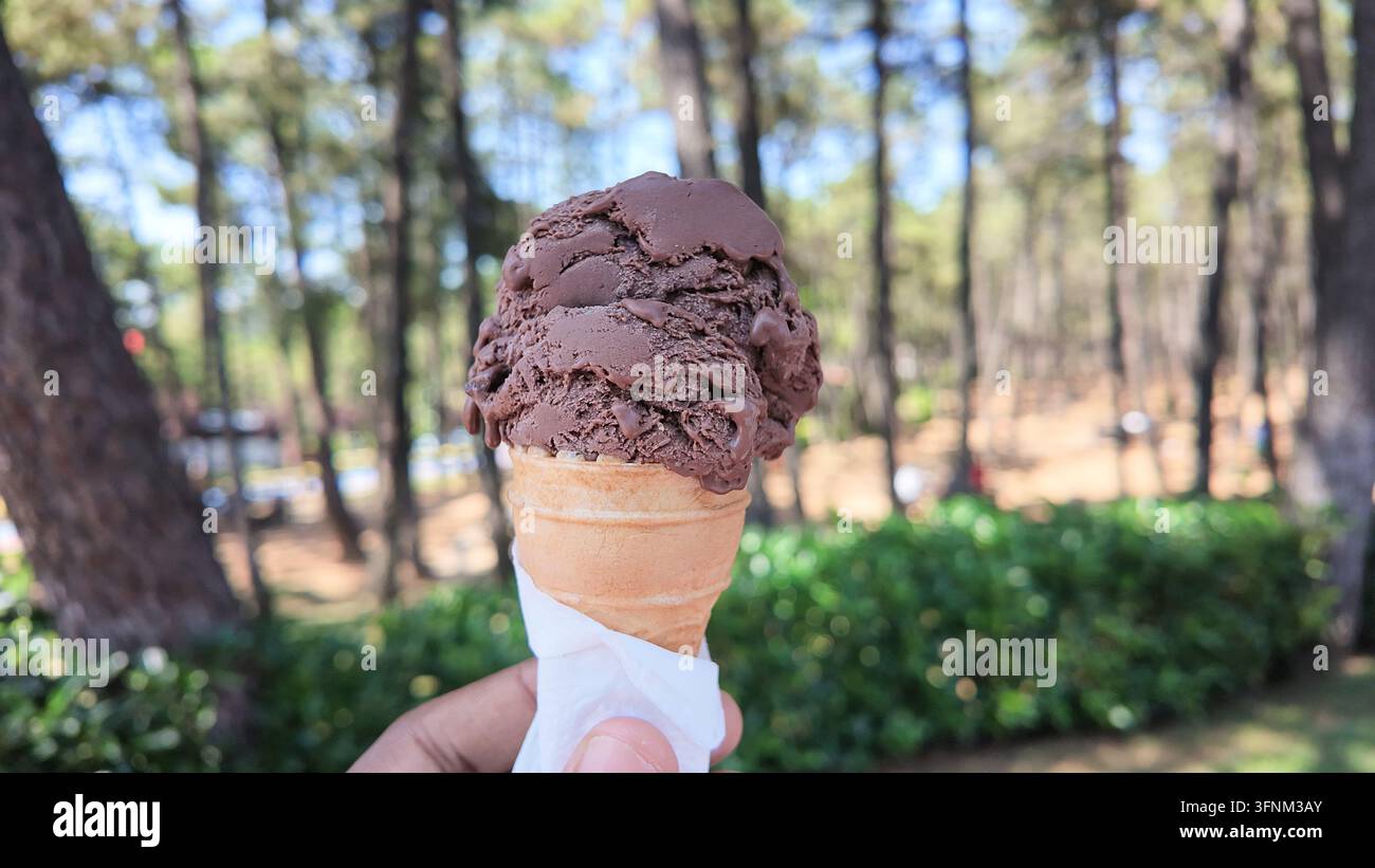 Godendo una cono di gelato al cioccolato in un ambiente boschivo durante il giorno Foto Stock
