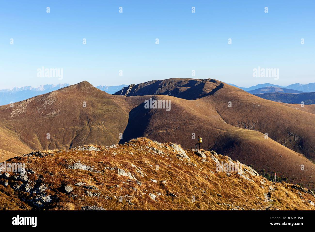 Un escursionista turistico con uno zaino che trekking su per i pendii dorati autunnali del monte Klomnock all'interno della riserva della biosfera scenografica di Nockalm, Austria Foto Stock