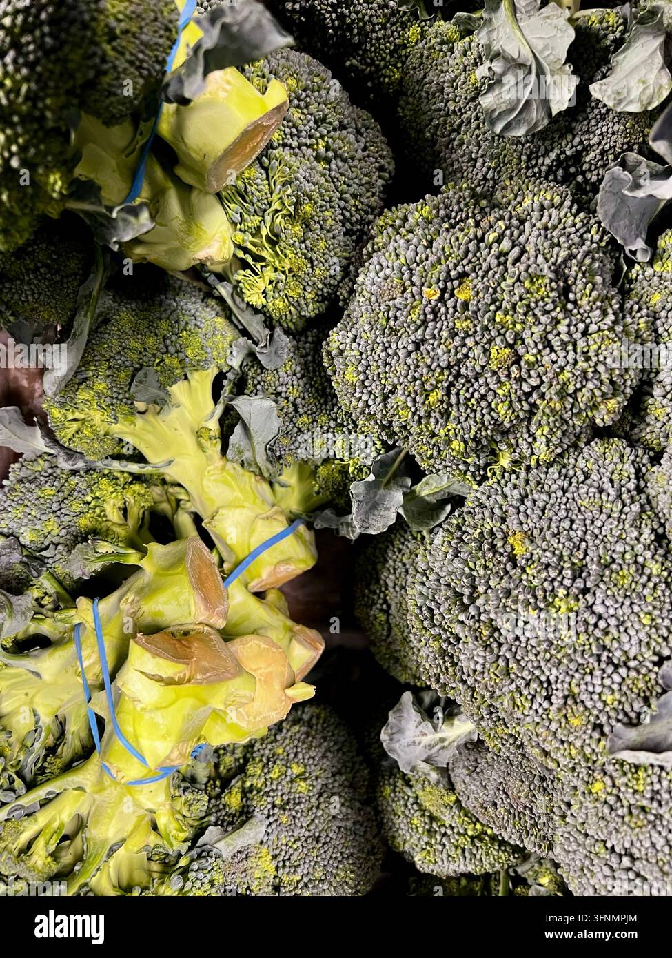 Capi di broccolo freschi esposti insieme in un mercato della frutta e verdura. Foto Stock