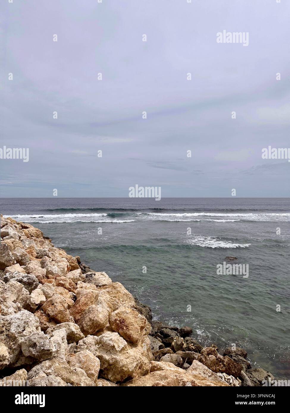 Sassi costieri pallidi affacciano su onde oceaniche che si infrangono sotto un cielo nuvoloso nella luce soffusa del giorno. - Immagine stock catturata con smartphone