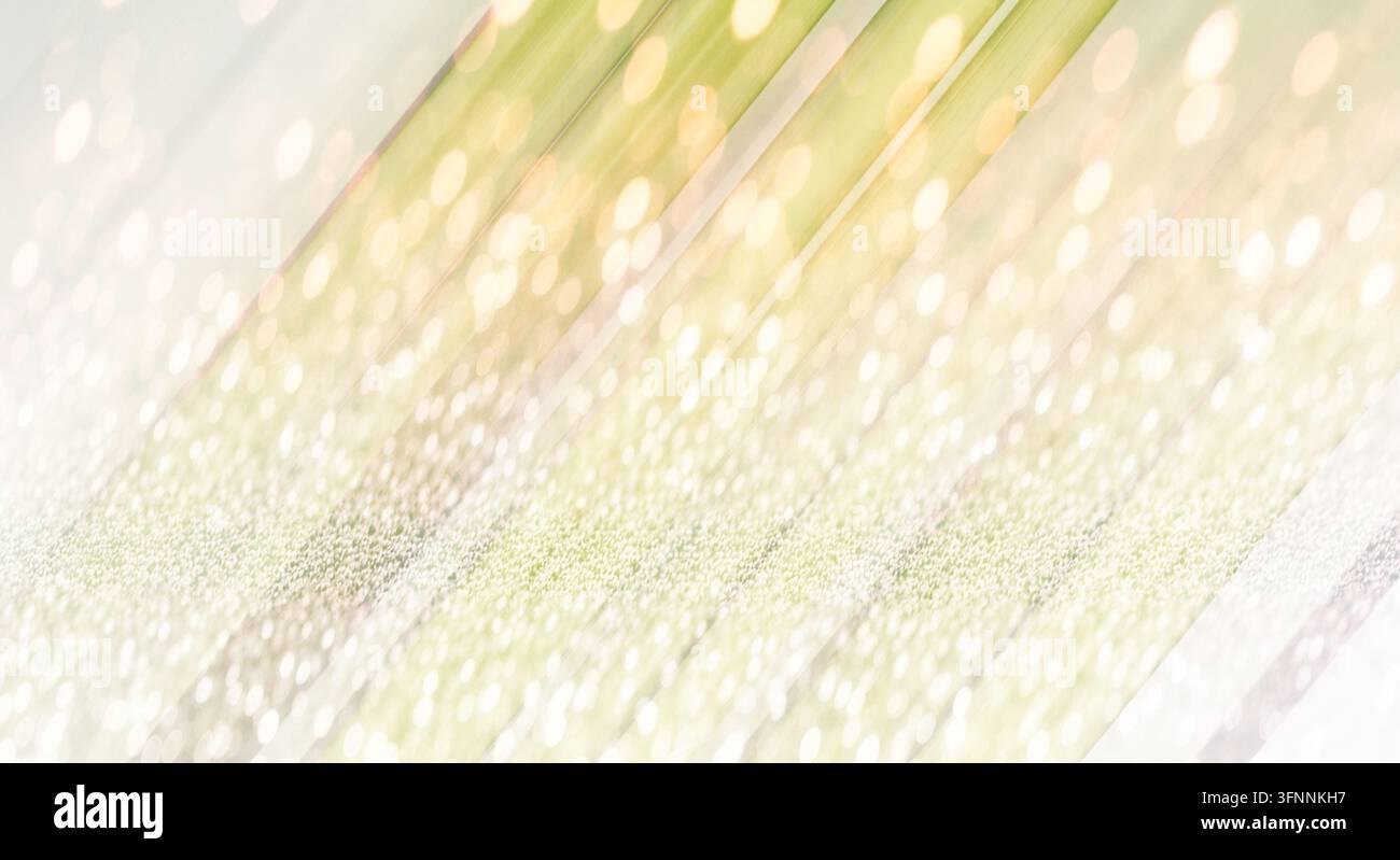 Colpo macro di steli di grano che mostrano i dettagli fini del seme, Foto Stock