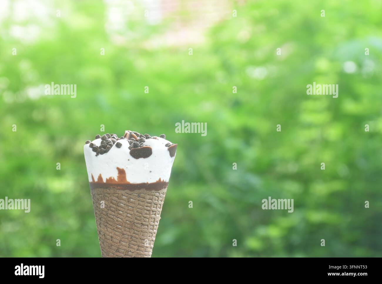 Gusto di latte al biscotto e alla panna in gelato in cono waffle disposto in un parco verde Foto Stock