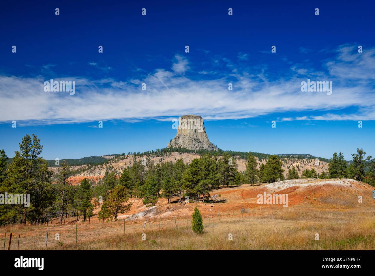 Monumento nazionale della torre del diavolo nel Wyoming Foto Stock