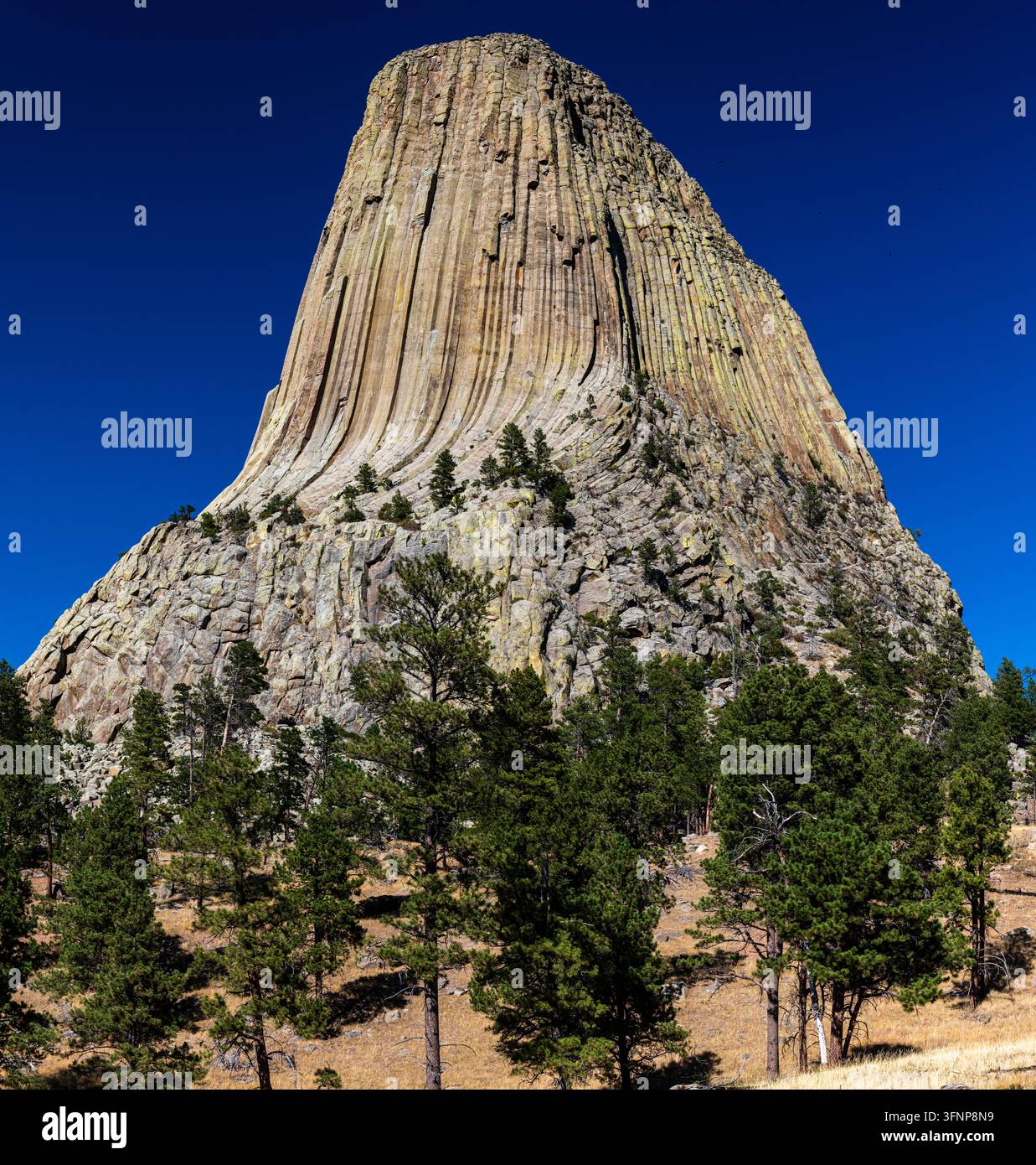 Dettaglio ravvicinato del monumento nazionale della torre del diavolo Foto Stock