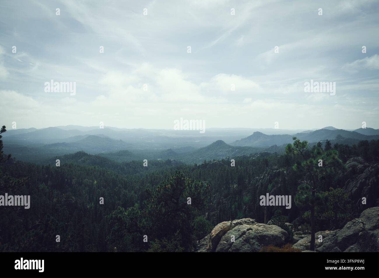 Vista scenografica delle Black Hills del South Dakota Foto Stock