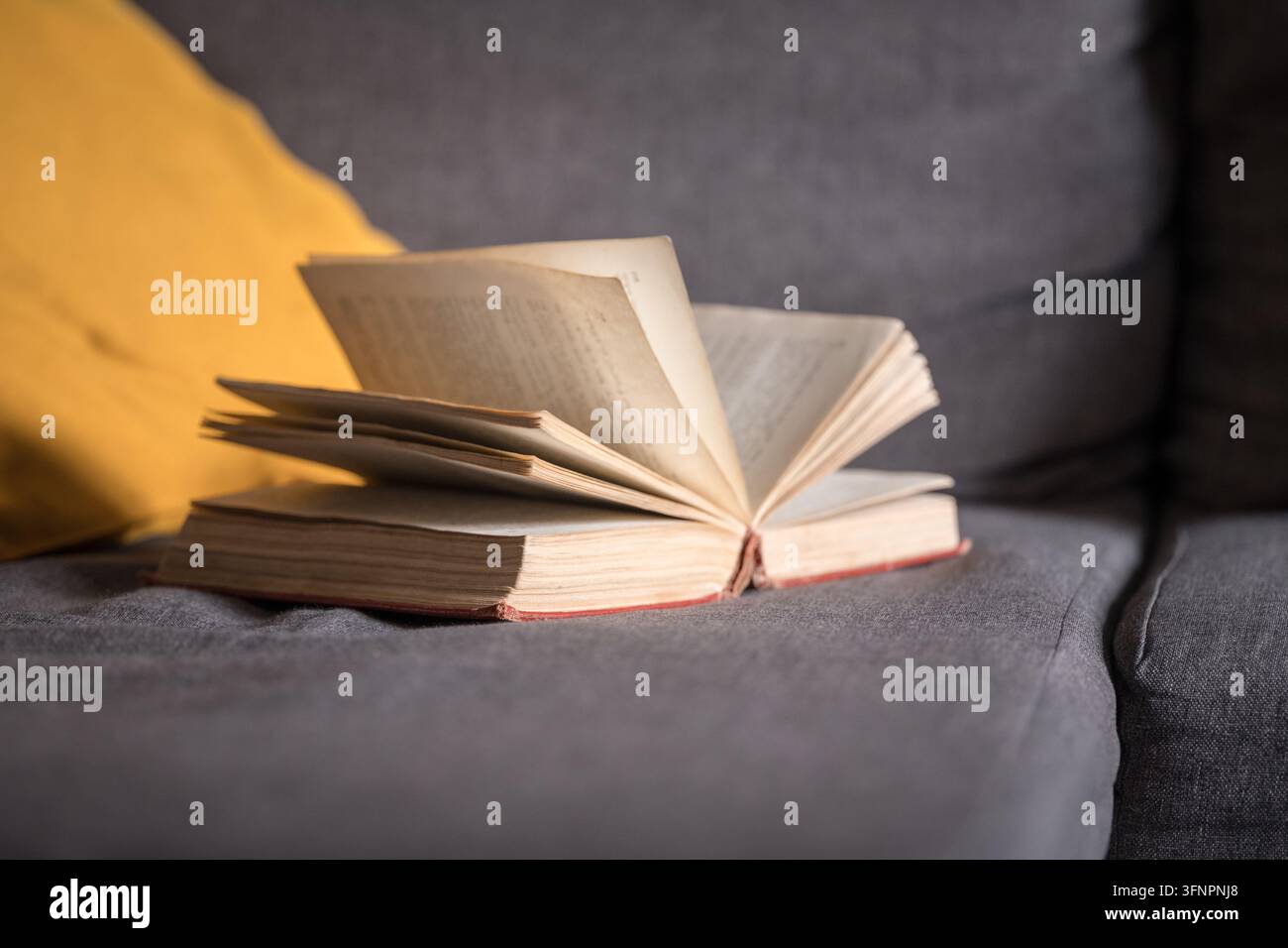 Libro aperto con pagine sventagliate appoggiato su un comodo divano grigio, che rappresenta momenti di lettura per divertimento e di apprendimento tranquillo a casa Foto Stock