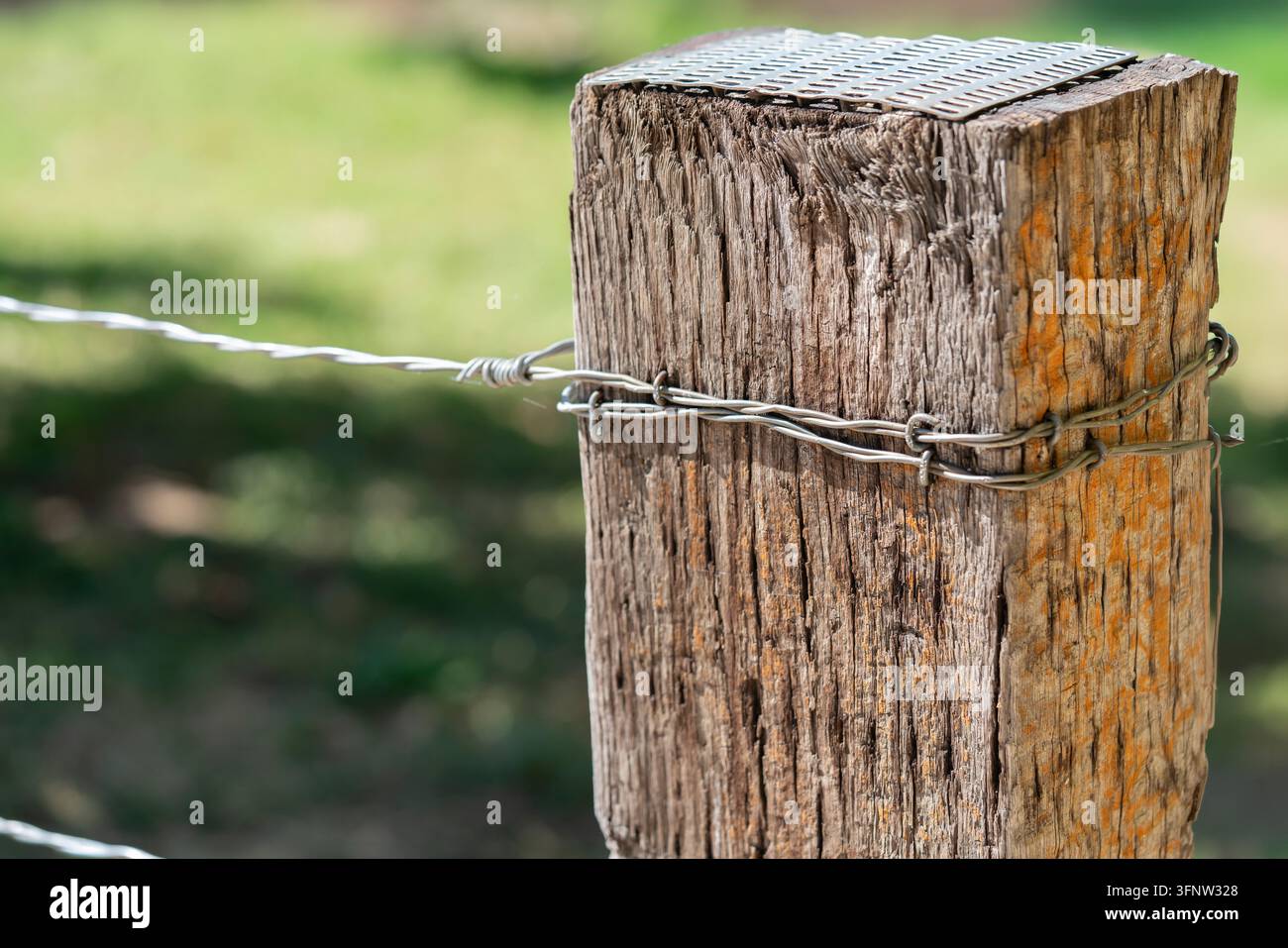 Prima vista di una recinzione metallica avvolta attorno a un palo di legno rustico Foto Stock
