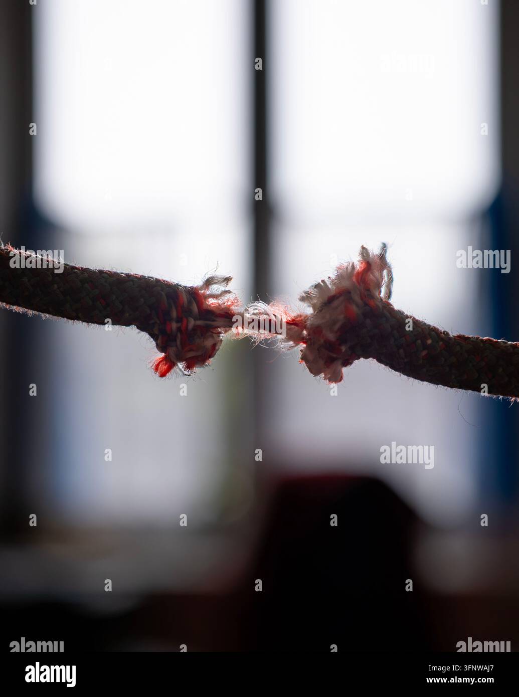 Prima di un corda da arrampicata gravemente sfilacciata che mostra fibre danneggiate e una sezione indebolita, illustrando l'usura dell'attrezzatura, i rischi per la sicurezza e potenziali f Foto Stock
