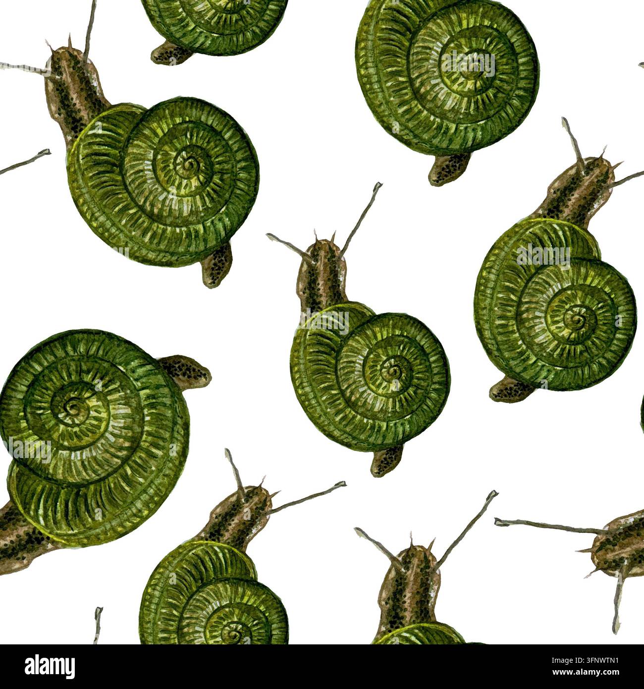 Modello botanico ad acquerello con lumache verdi. Elementi per il tuo design Foto Stock