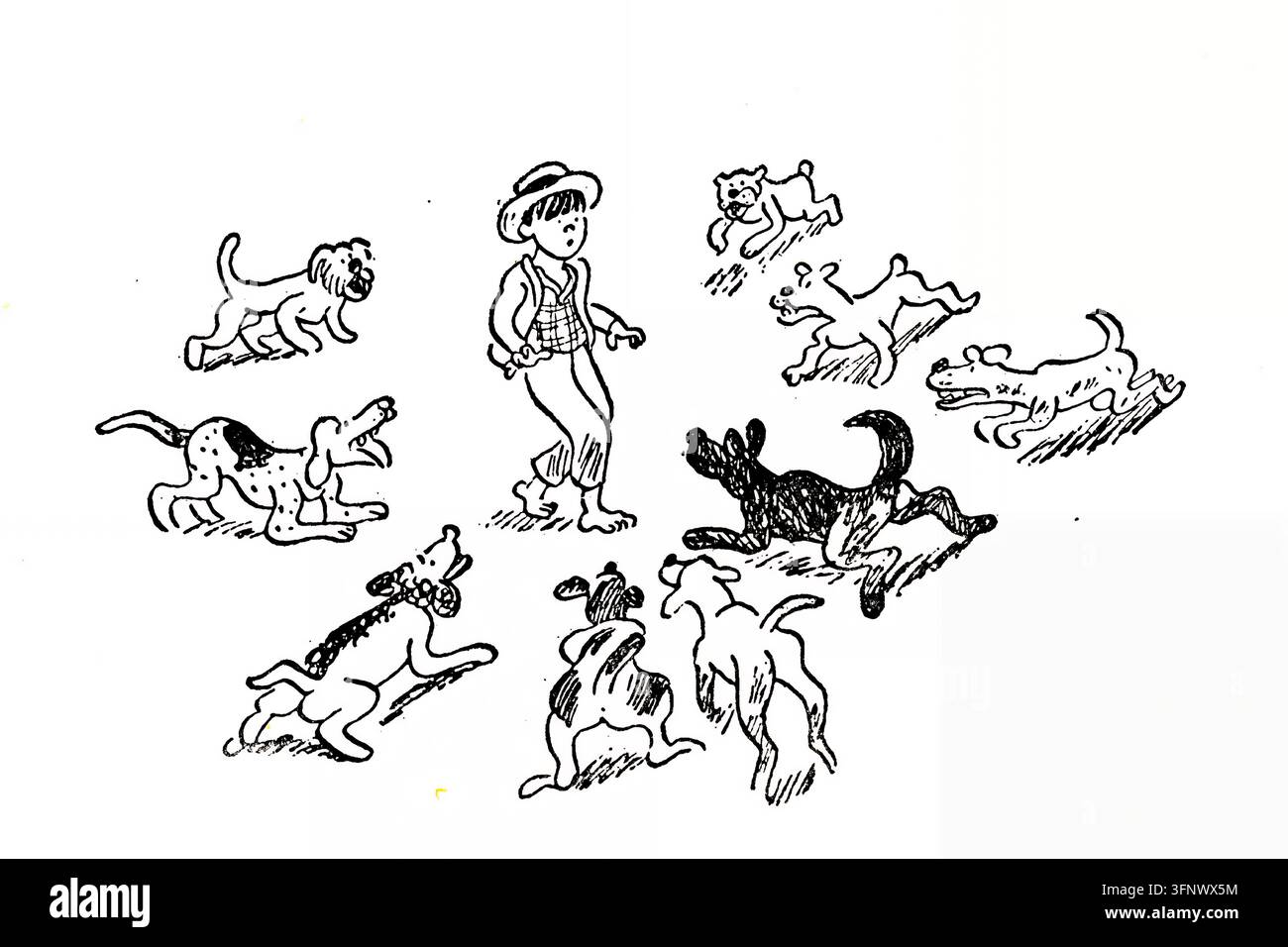 Illustrazione storica di Walter Trier (25 giugno 1890–8 luglio 1951) per Il Principe e il Povero di Mark Twain. Un ragazzo in abiti rurali e un cappello a tesa larga è circondato da un gruppo vivace di cani giocosi. L’immagine è una rappresentazione generica associata a Huck Finn; non è stato verificato alcun capitolo specifico, cane nominato o episodio narrativo. Foto Stock