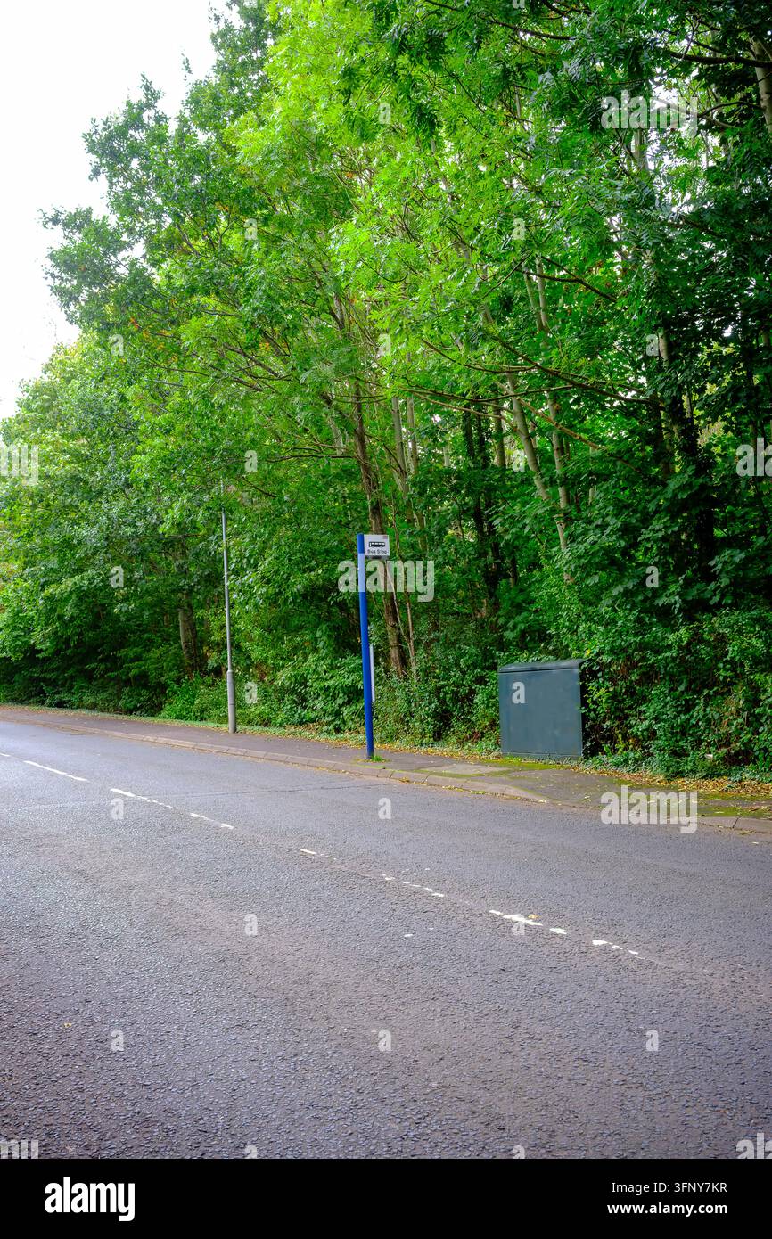 Alberi verdi rigogliosi costeggiano una tranquilla strada di campagna. Una fermata dell’autobus blu si trova accanto a un sentiero asfaltato. Un bidone della spazzatura grigio nelle vicinanze, leggermente consumato. La superficie della strada mostra genziane. Foto Stock