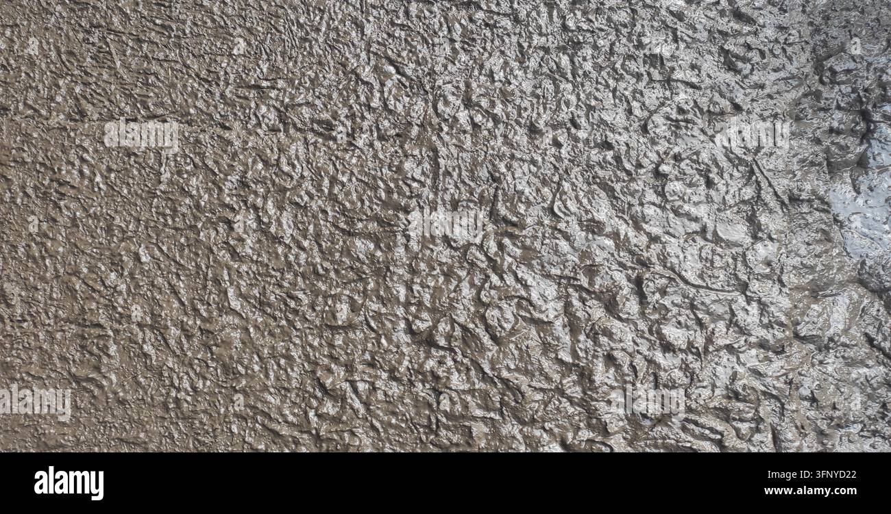 Terreno bagnato e irregolare con piccole impronte e texture superficiale naturale ruvida Foto Stock