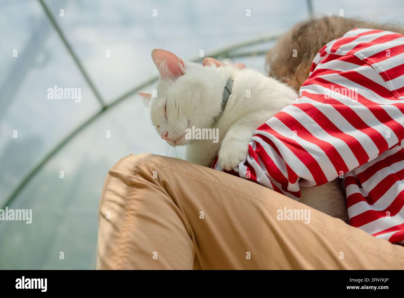Donna amorevole seduta su un divano accogliente, abbraccia il suo compagno felino bianco mentre gode di momenti teneri a casa. Scena pacifica che cattura il profondo legame tra amante degli animali e il suo amato amico a quattro zampe all'interno Foto Stock
