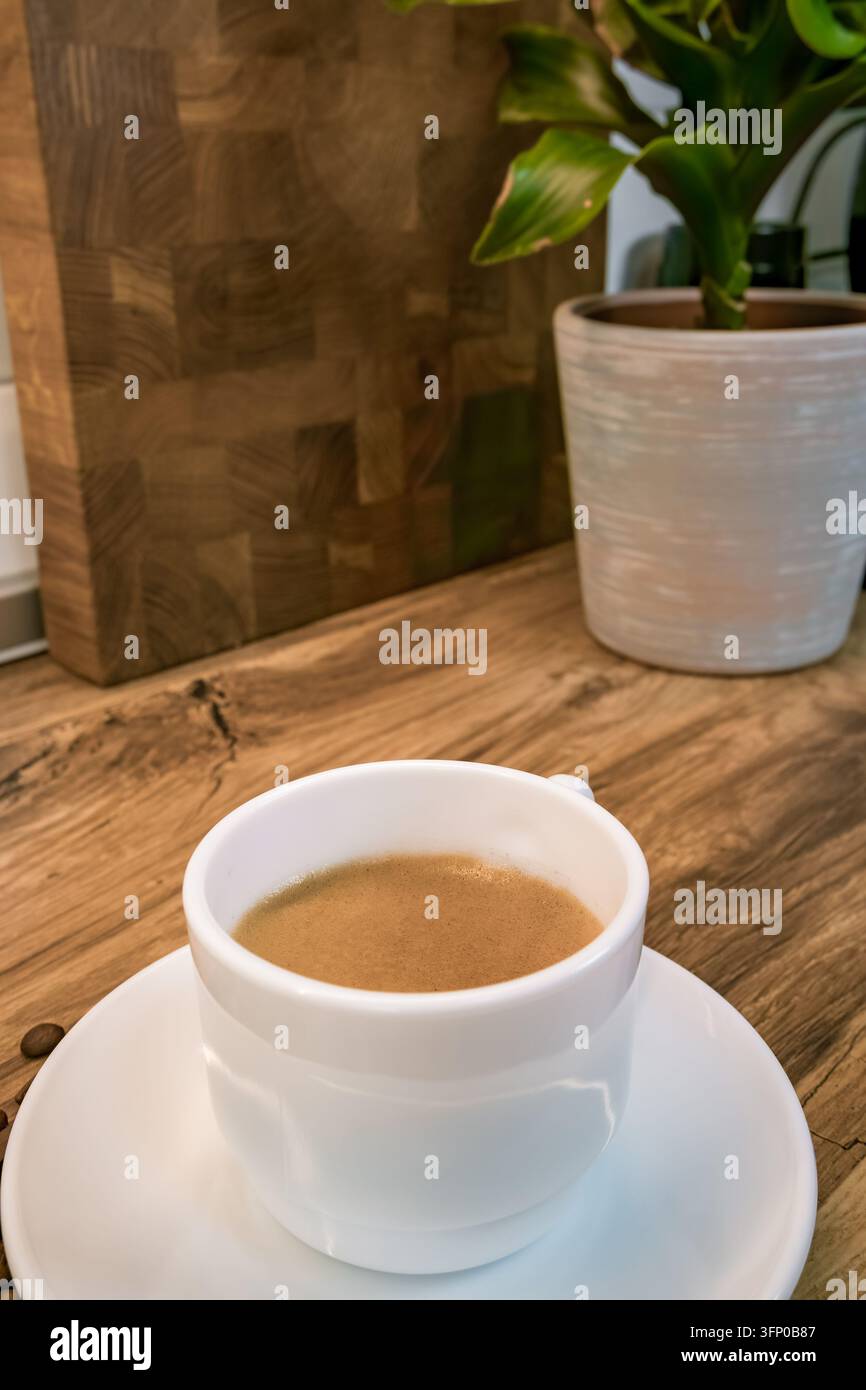 Tazza bianca di caffè su un piattino appoggiata su un tavolo di legno, con una pianta verde in vaso e una grande tavola di legno in un interno illuminato dolcemente Foto Stock