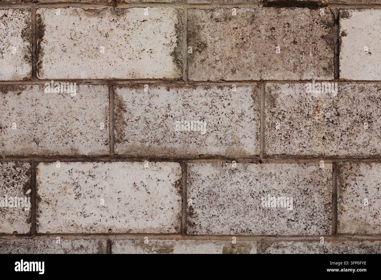 Scatto professionale in primo piano estremo che si concentra sulla superficie ruvida e porosa, sulle macchie scure di degrado e sulle giunture profonde di malta di un muro in blocchi di cemento. Alto Foto Stock