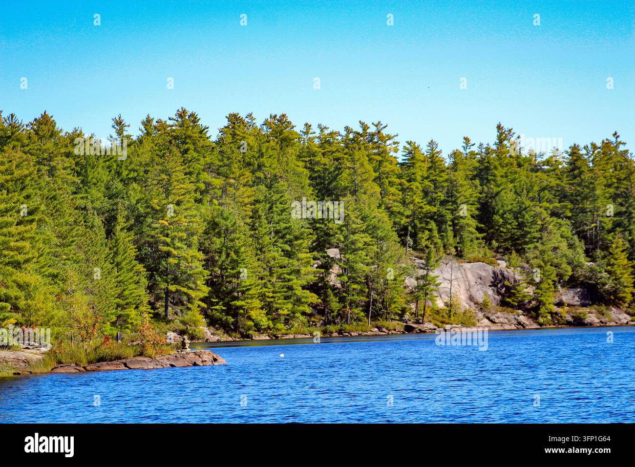 Foresta sempreverde sulla riva di un lago con un cielo blu pallido sopra. Foto Stock