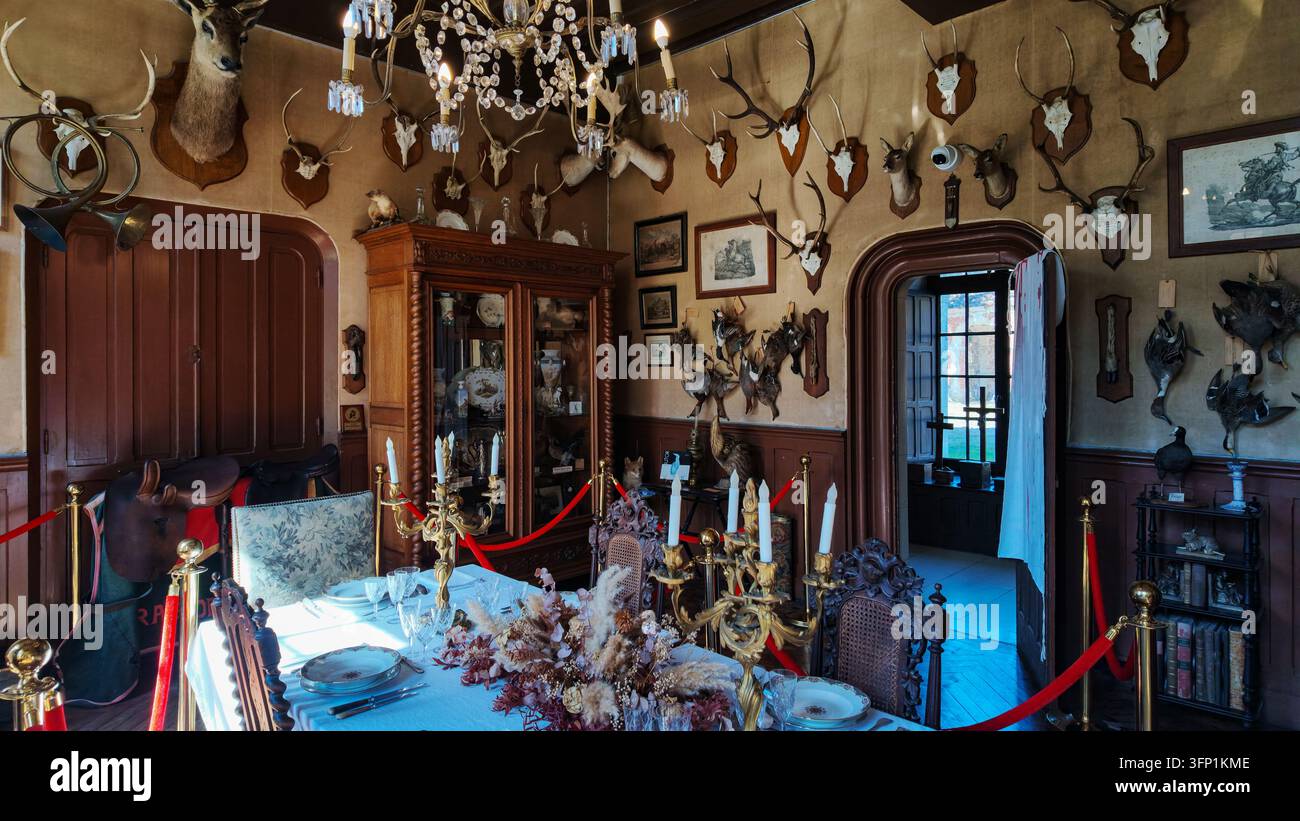 Teste di cervo farcite e corna appese alle pareti come trofei di caccia, Museo dell'Abbazia di Mortemer in Normandia, Francia Foto Stock