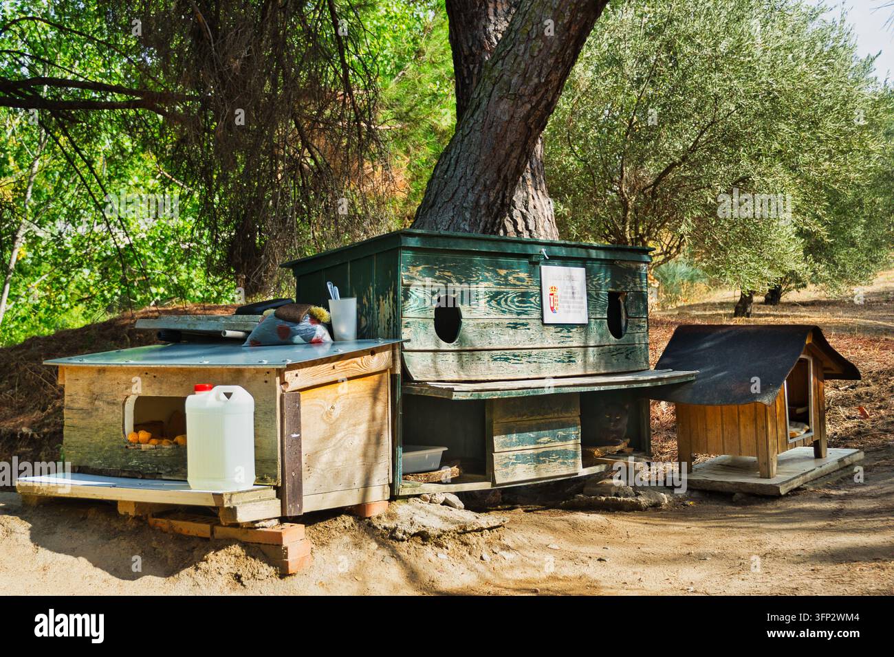 Ricoveri in legno per gatti randagi e box di alimentazione si trovano sotto un albero ad Arroyomolinos, Madrid, Spagna, con un gatto visibile all'interno di uno dei ricoveri. Foto Stock