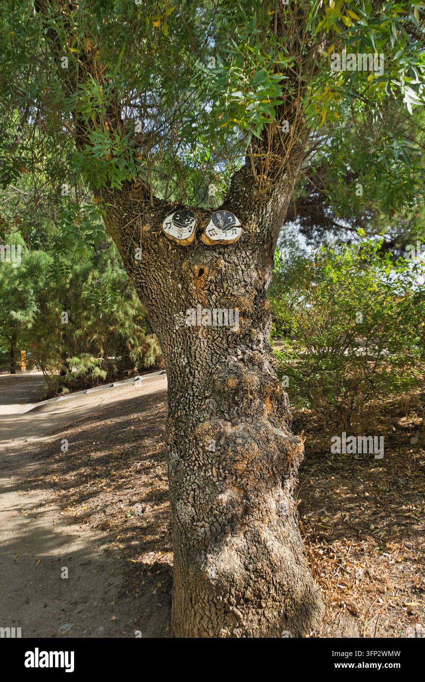 Occhi dipinti decorati con note musicali danno un volto a un albero lungo il Sentiero Magico ad Arroyomolinos, Madrid, Spagna. Foto Stock