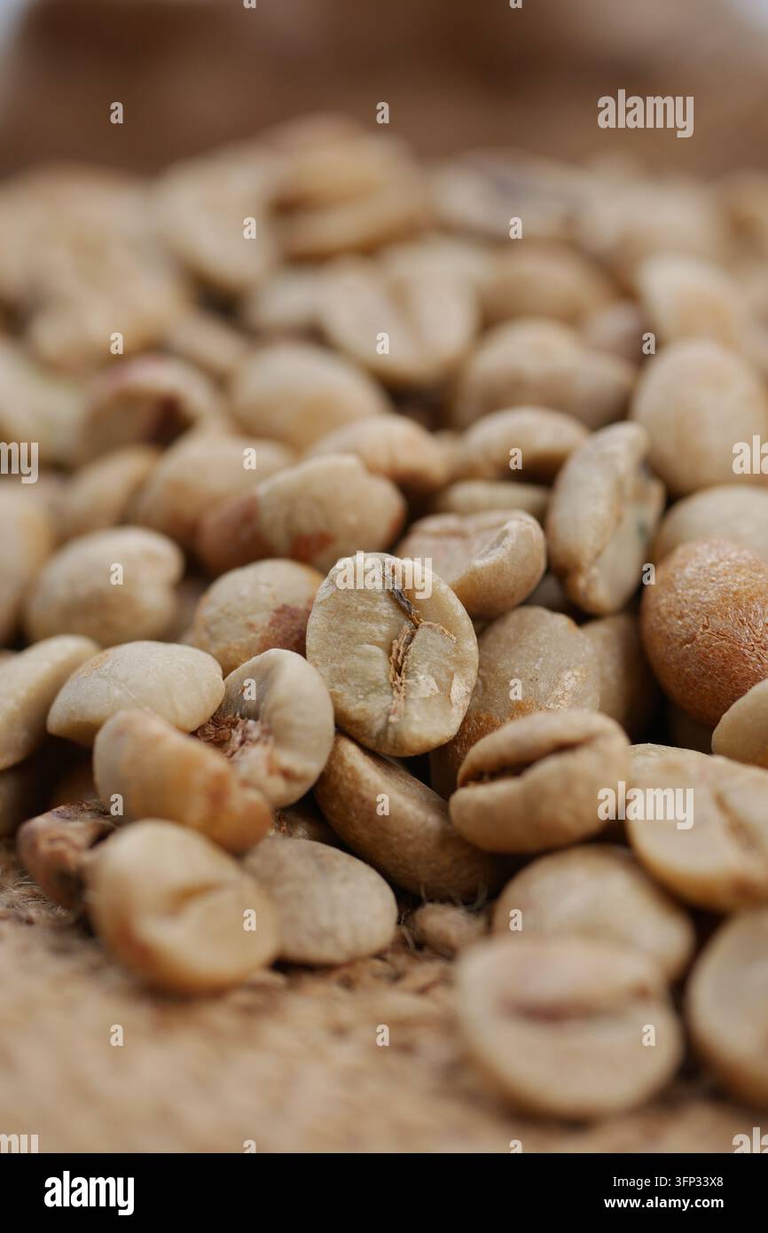 I chicchi di caffè verdi sono esposti su una superficie tessuta in un primo piano Foto Stock