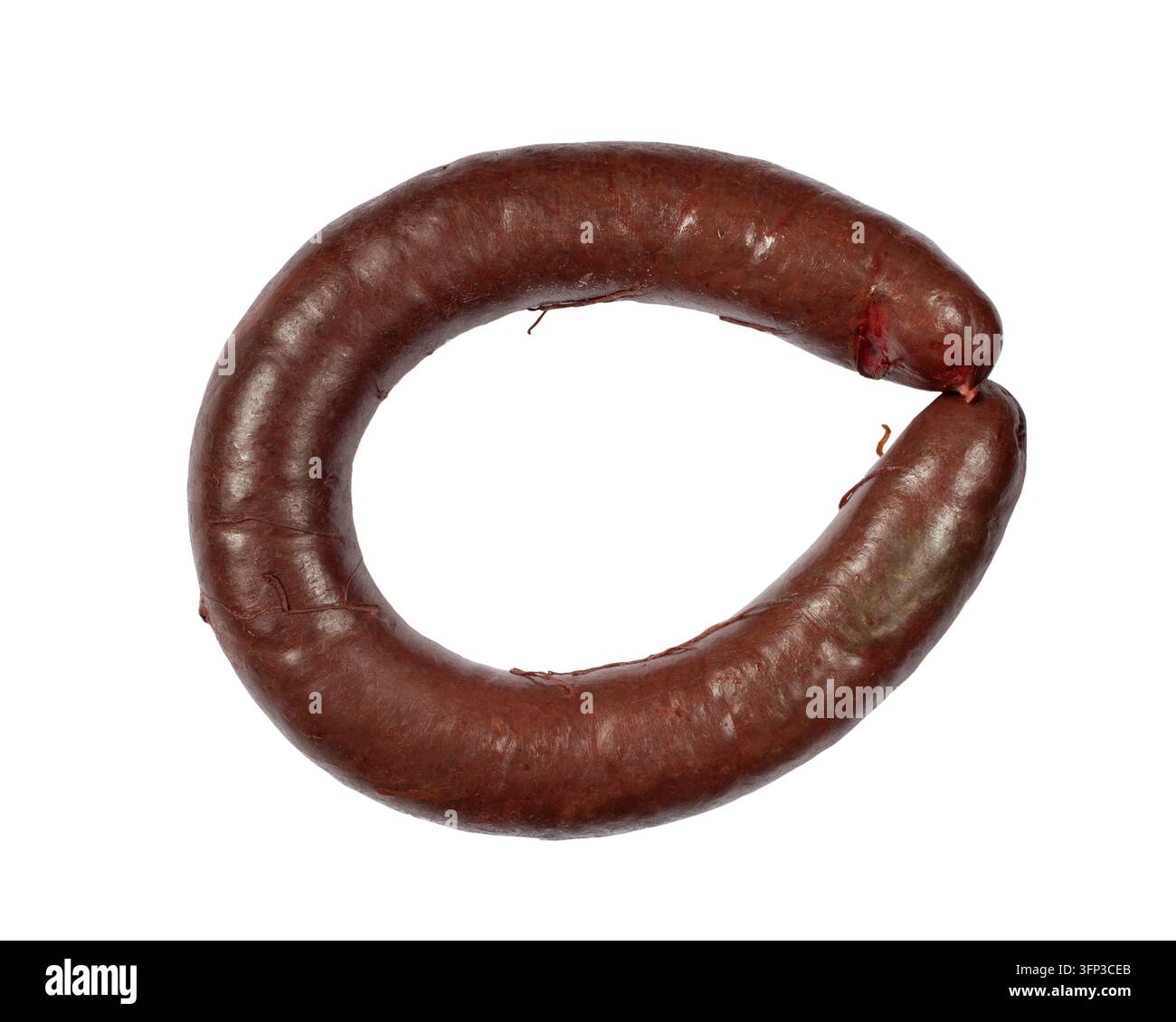 Anello di sanguinaccio isolato su sfondo bianco. Primo piano di sanguinaccio naturale. Foto Stock