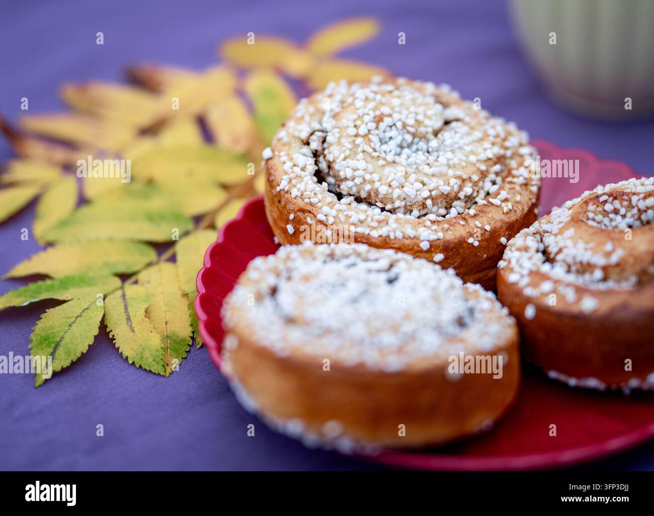 Tre panini alla cannella svedesi ricoperti di zucchero perlato su un piatto rosso, con foglie autunnali gialle su uno sfondo viola. Foto Stock