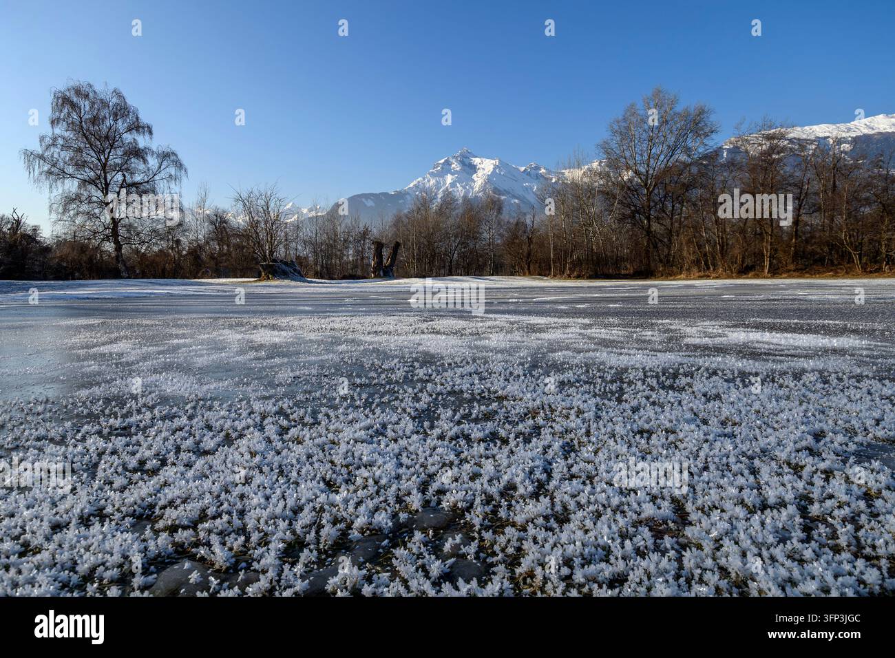 Dettagli ravvicinati di cristalli di ghiaccio delicati sulla superficie di un lago ghiacciato con montagne alpine coperte di neve Foto Stock