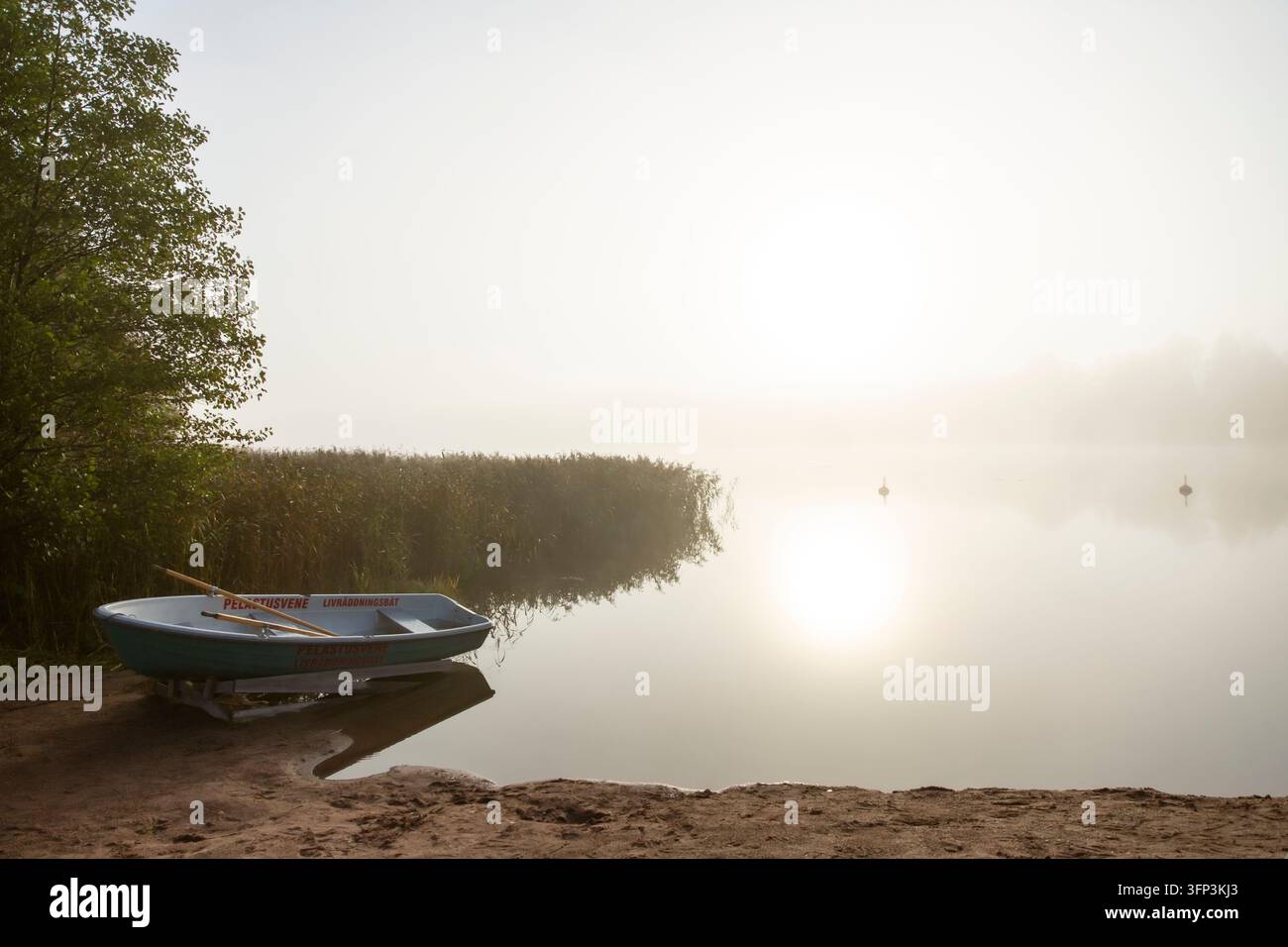 Una barca di salvataggio si trova su una riva nebbiosa di un lago in un punto di balneazione ufficiale in Finlandia, l'acqua calma riflette l'alba all'alba Foto Stock